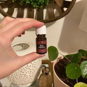 YL Sacred frankincense essential oil